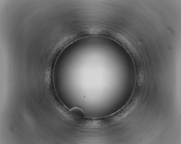 X0000113200497200909171516