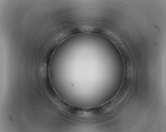 X0000113200498200909171516