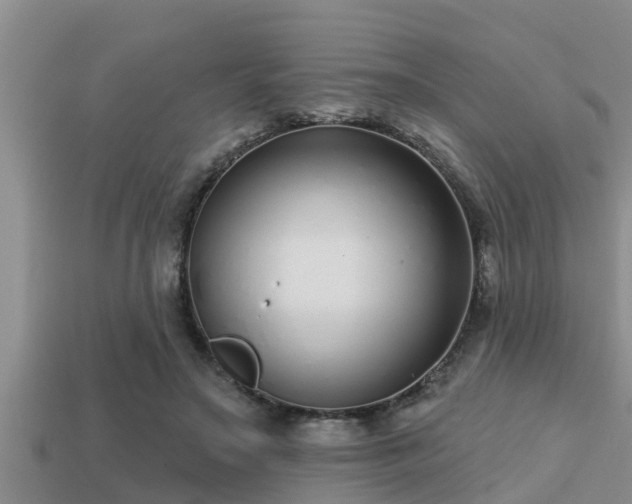 X0000113200499200909171516