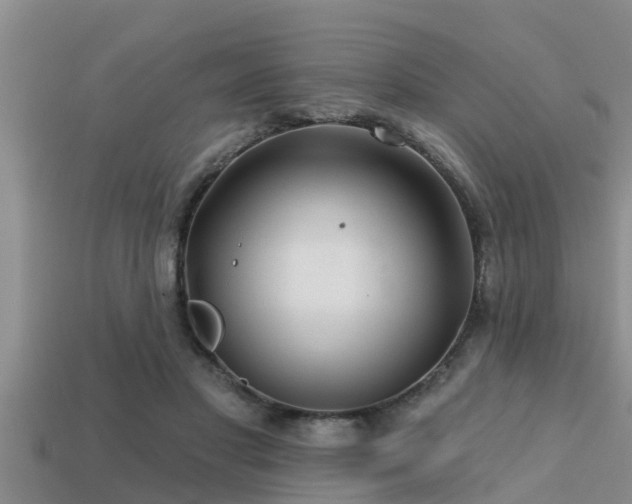 X0000113200501200909171516