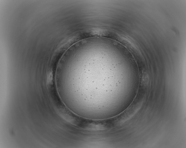 X0000113200502200909171516