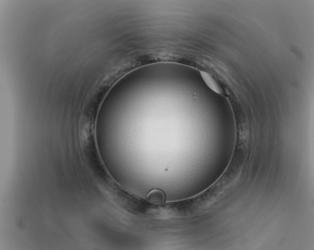 X0000113200503200909171516