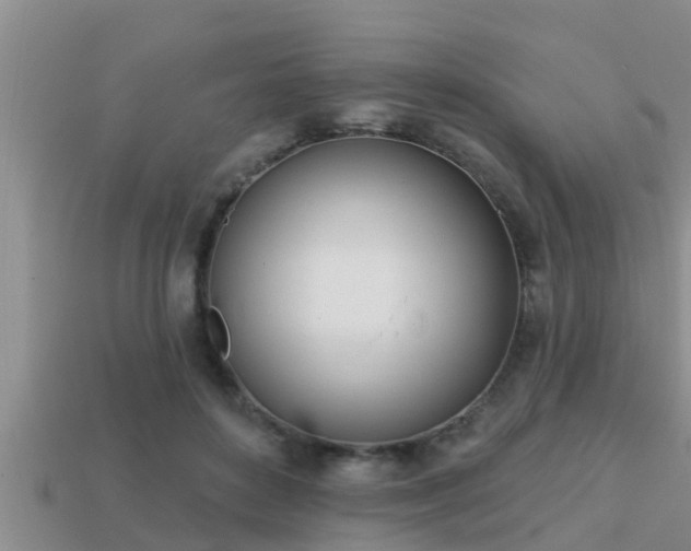 X0000113200504200909171516