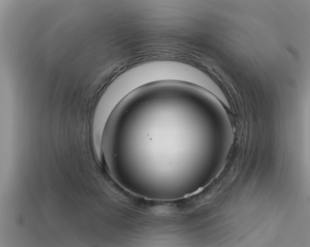 X0000113200505200909171516