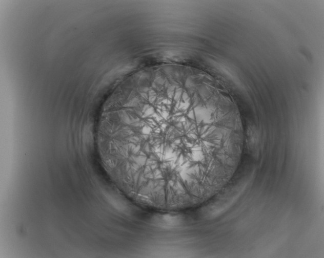 X0000113200506200909171516