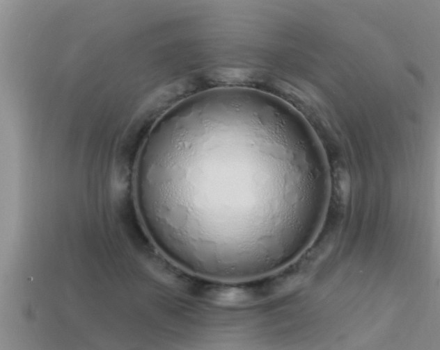 X0000113200507200909171516