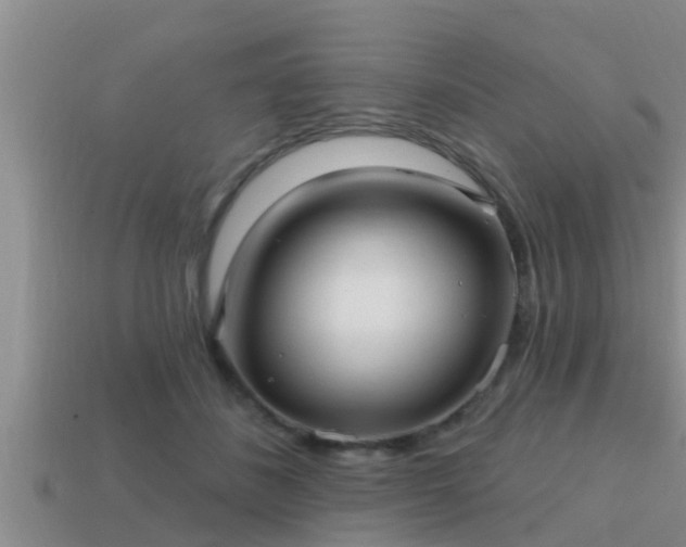 X0000113200508200909171516