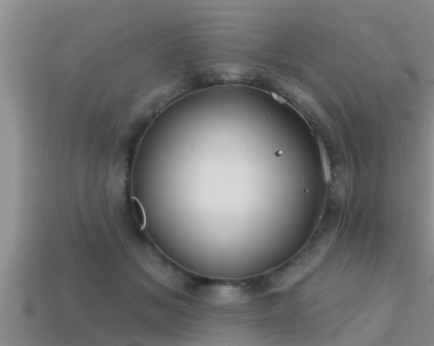 X0000113200509200909171516