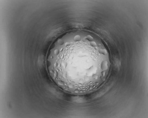 X0000113200511200909171516