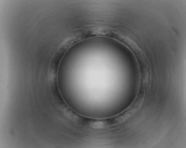 X0000113200513200909171516