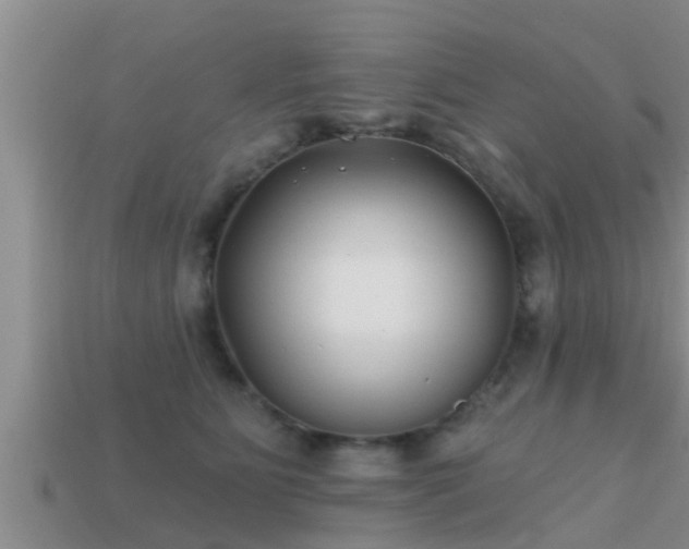 X0000113200515200909171516