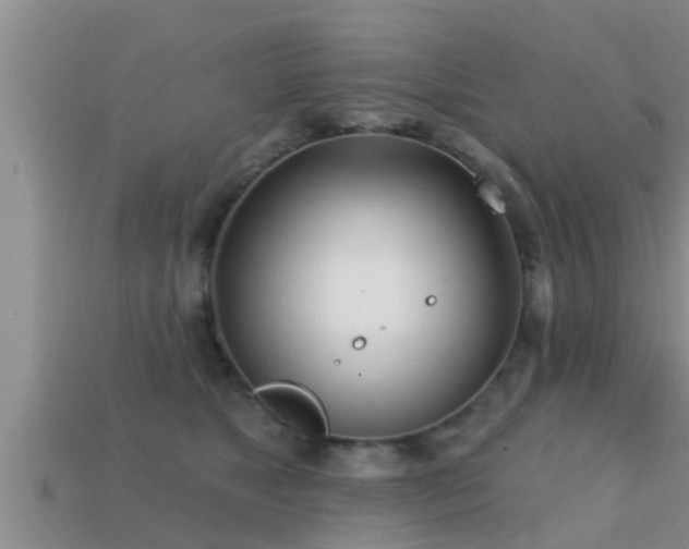 X0000113200517200909171516