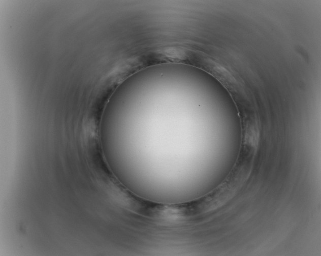 X0000113200518200909171516