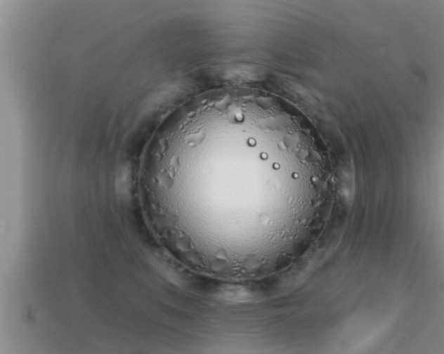 X0000113200519200909171516