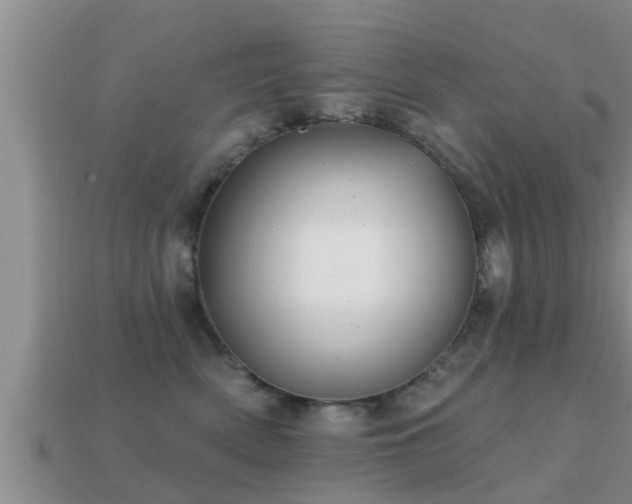 X0000113200522200909171516