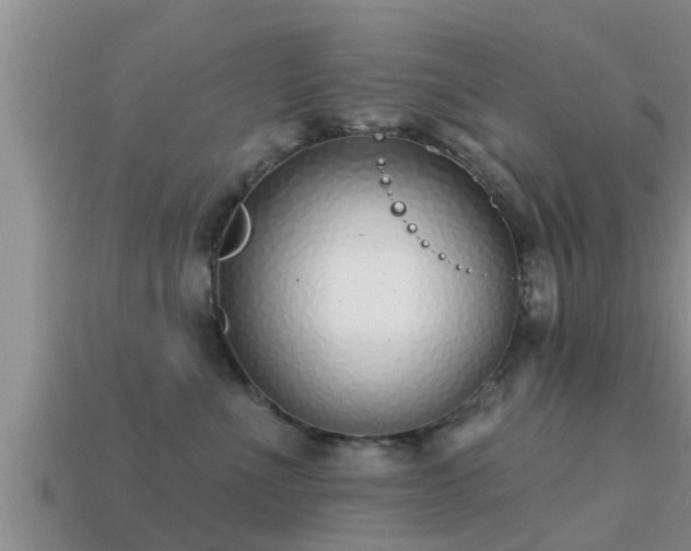 X0000113200523200909171516