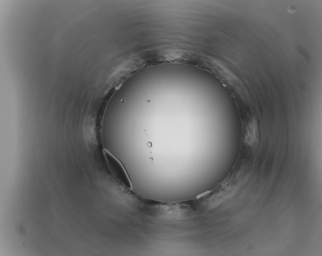 X0000113200524200909171516