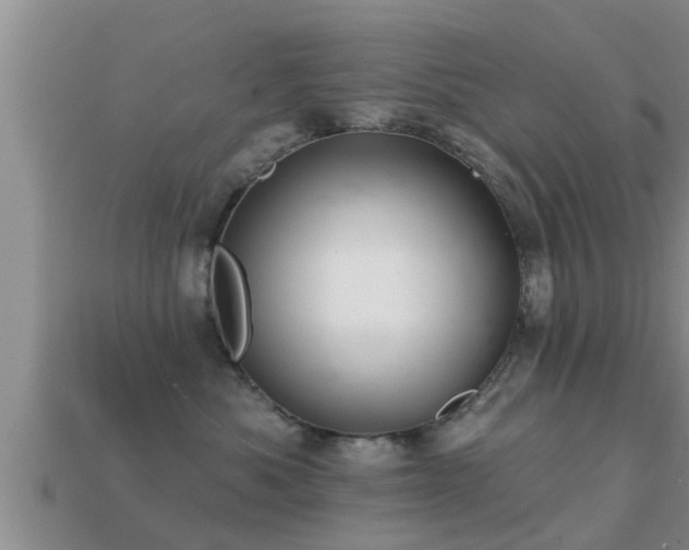 X0000113200525200909171516