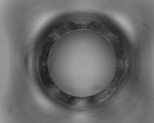 X0000113200526200909171516