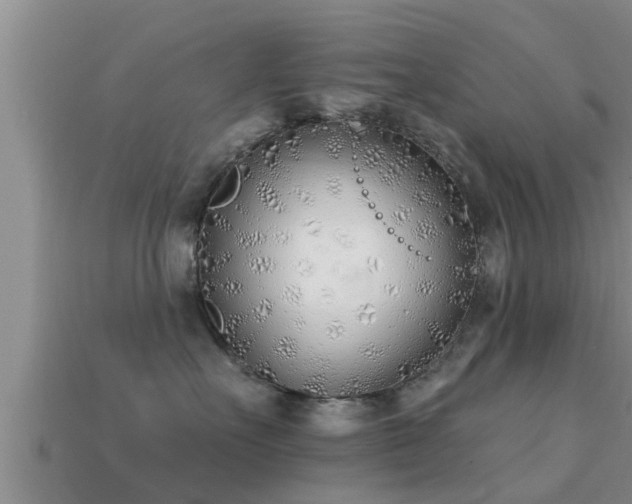 X0000113200527200909171516