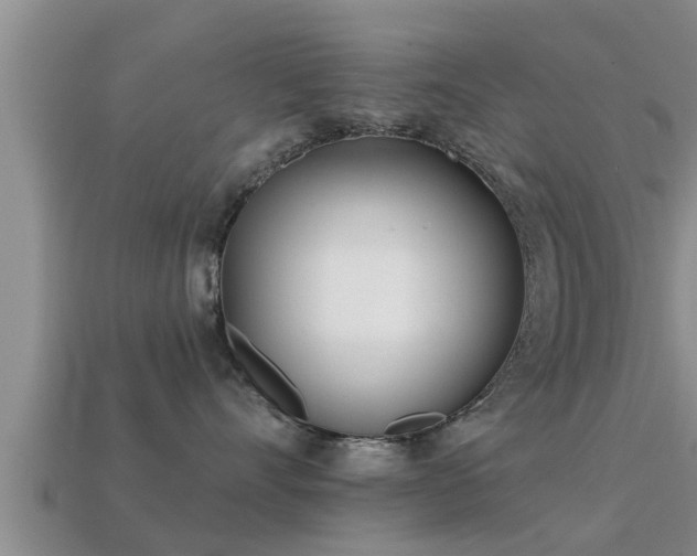 X0000113200528200909171516