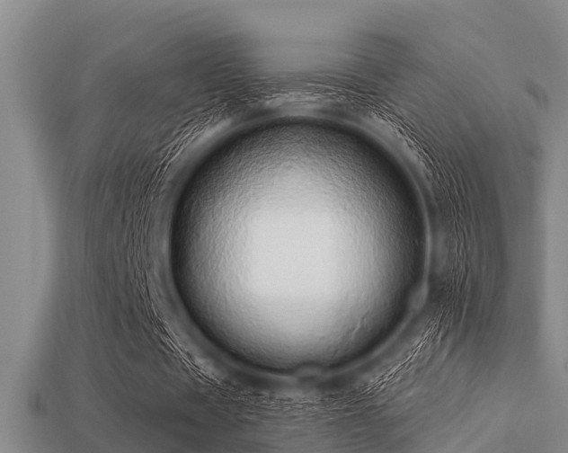 X0000113200529200909171515