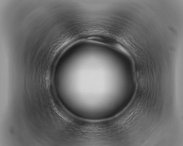 X0000113200530200909171515