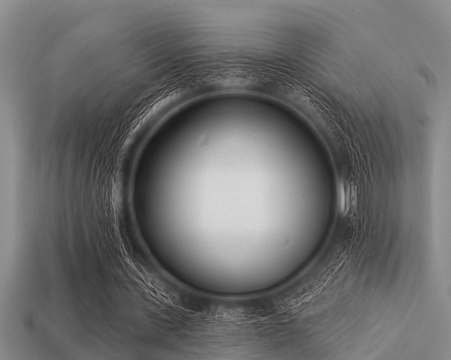 X0000113200531200909171515