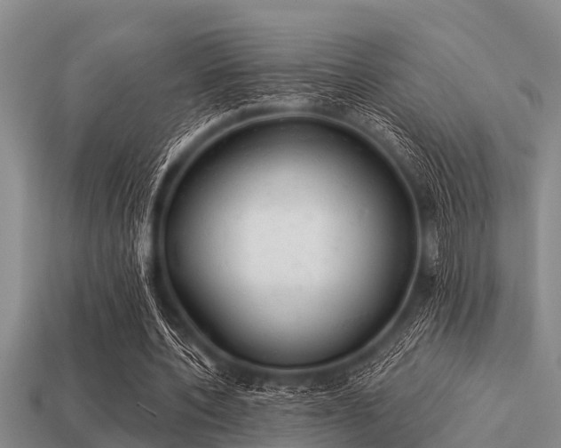 X0000113200532200909171515