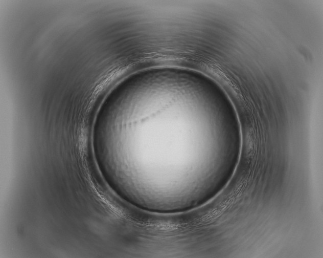 X0000113200533200909171515