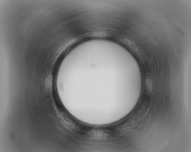 X0000113200534200909171515