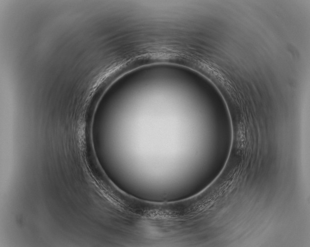 X0000113200535200909171515