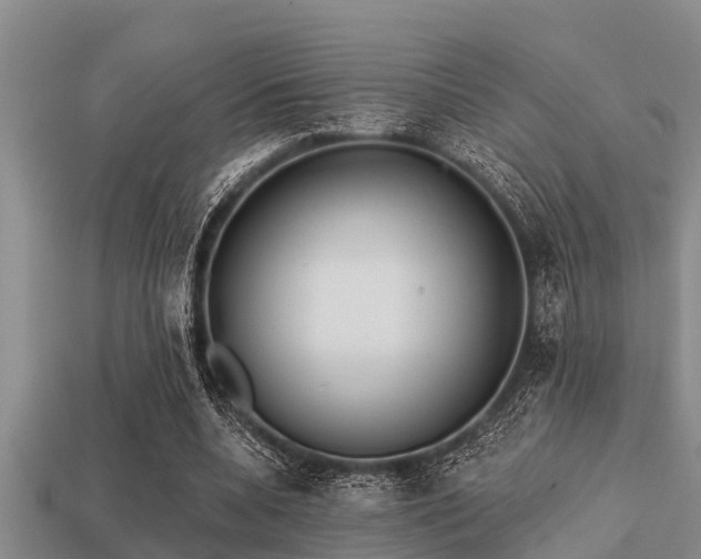 X0000113200536200909171515