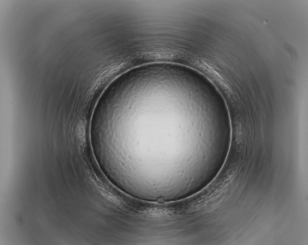 X0000113200537200909171515