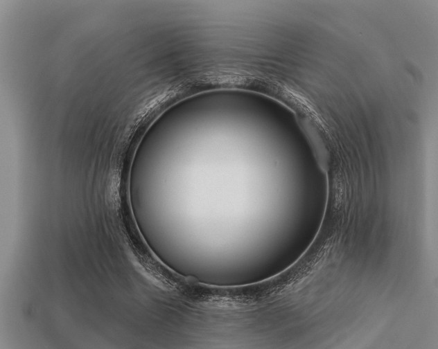 X0000113200538200909171515