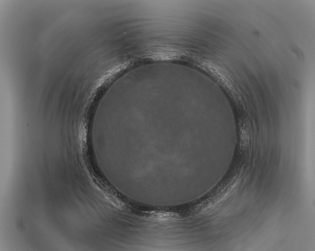 X0000113200539200909171515