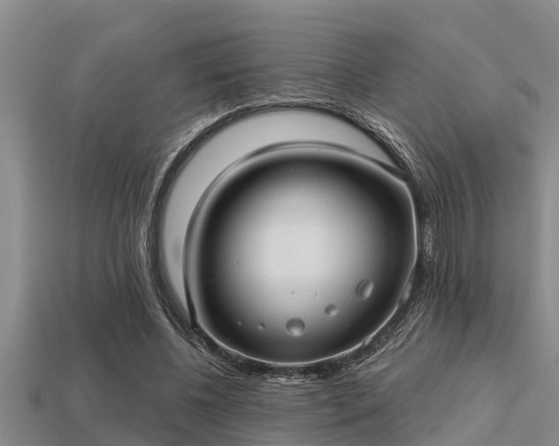 X0000113200540200909171515