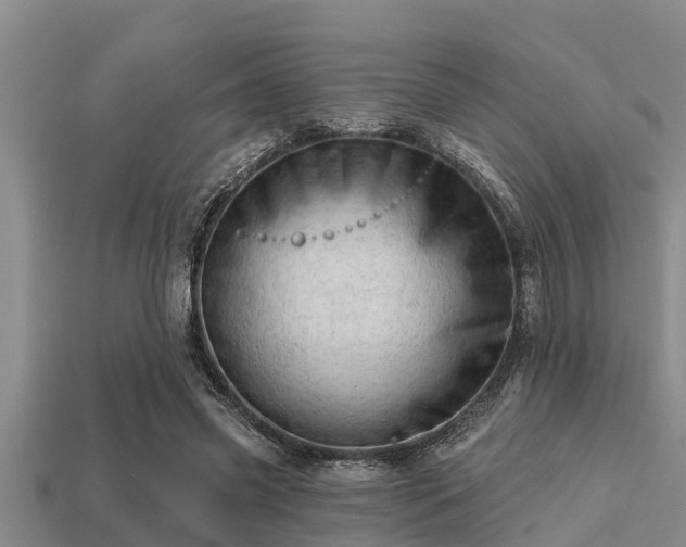 X0000113200541200909171516