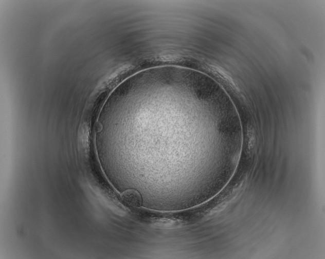 X0000113200542200909171516