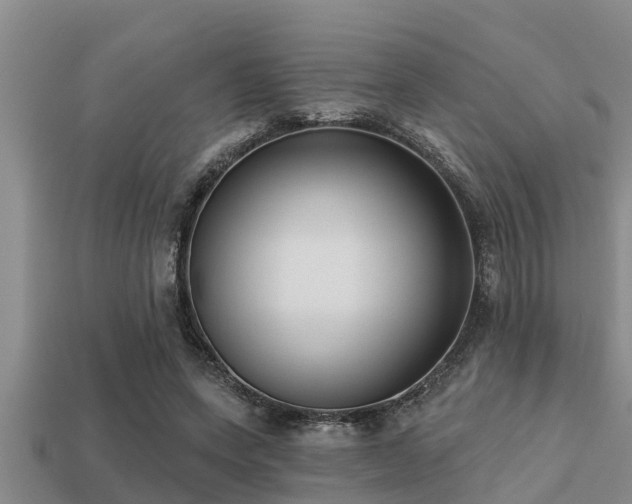 X0000113200543200909171516