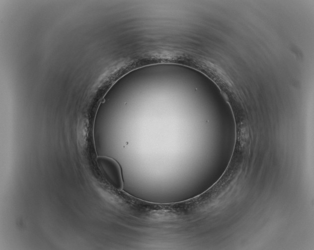 X0000113200544200909171516