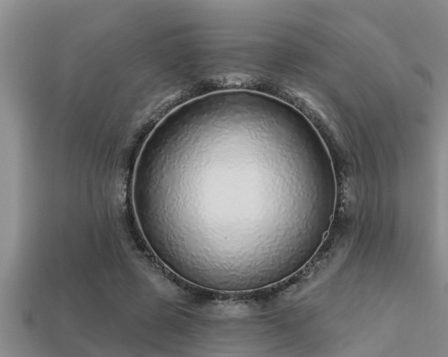 X0000113200545200909171516