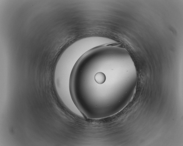 X0000113200546200909171516