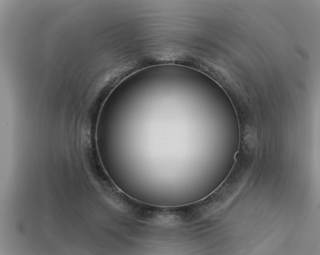 X0000113200547200909171516