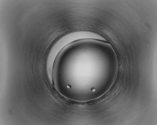 X0000113200548200909171516