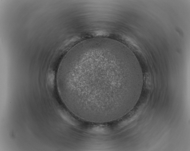 X0000113200550200909171516