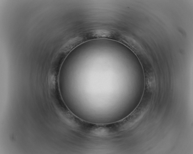 X0000113200551200909171516