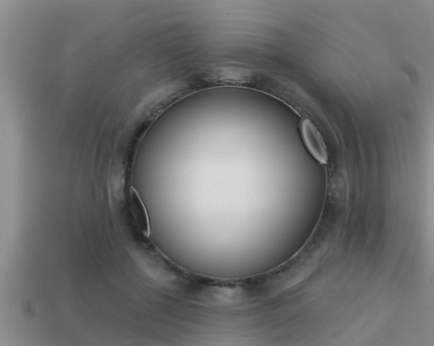 X0000113200552200909171516