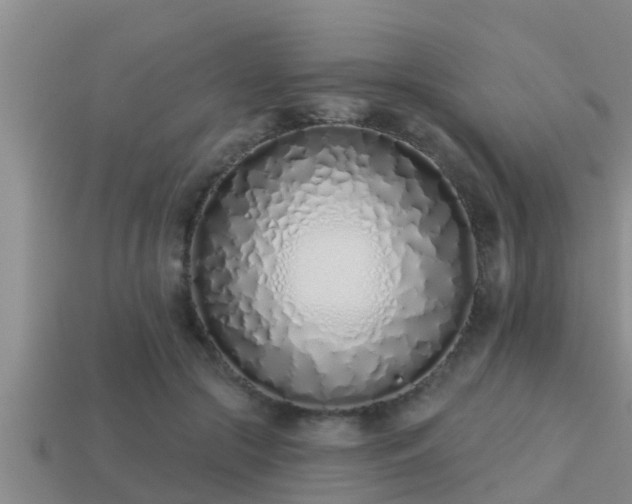 X0000113200553200909171516