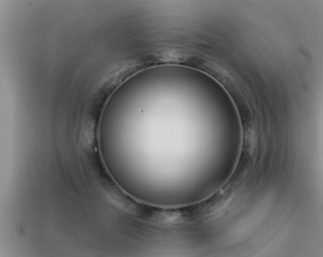 X0000113200554200909171516